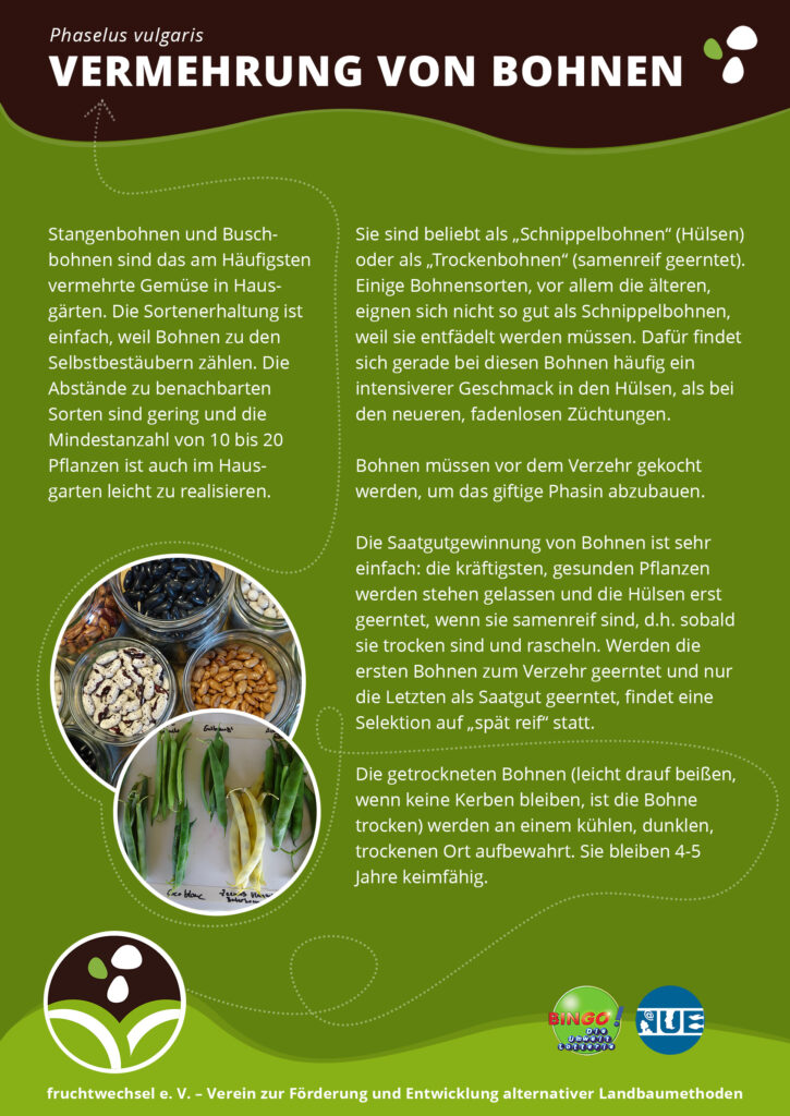 Eine Schautafel, auf der geschrieben steht, was zu beachten ist, wenn Bohnen selbst vermehrt werden